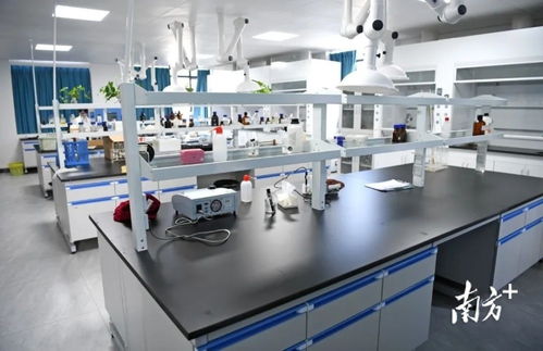 陽春市自來水廠擴(kuò)容工程即將竣工運(yùn)營(yíng)，提升城市供水保障能力